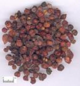 Schisandra Chinensis Extract 